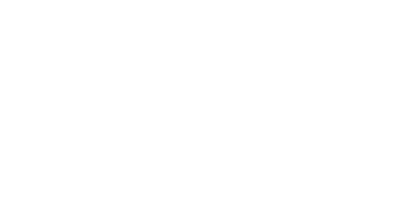 Divurgent Logo White