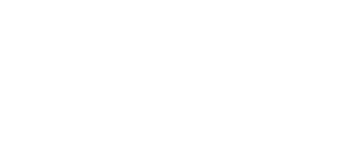 Connection Logo White