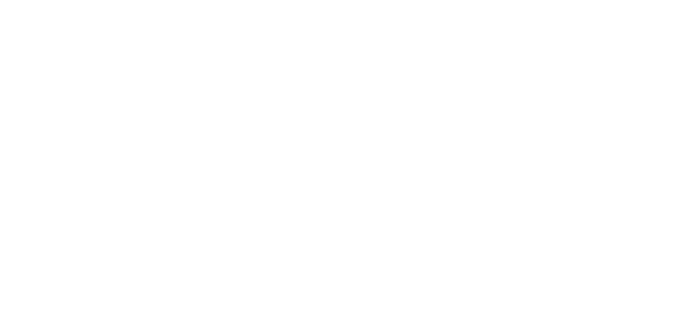 Paloalto Logo White