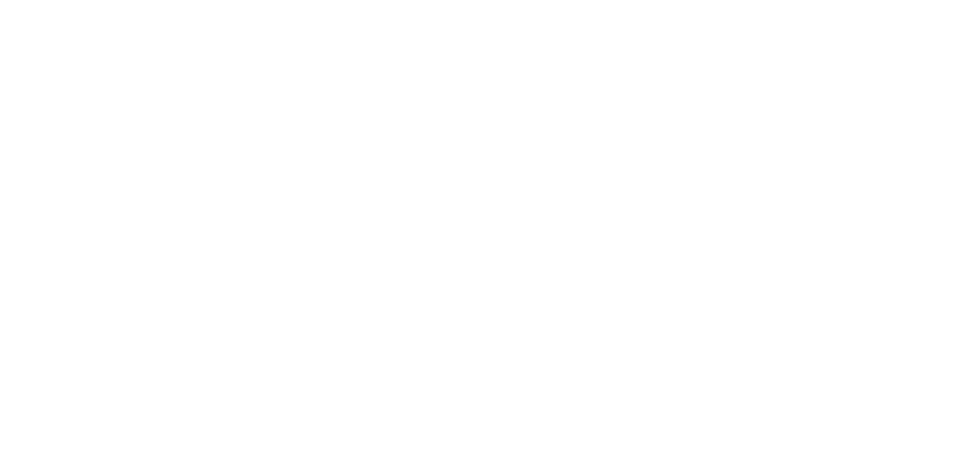 PAG Profit Advisory Group Logo White